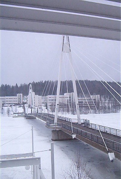 saturday bridge2.jpg